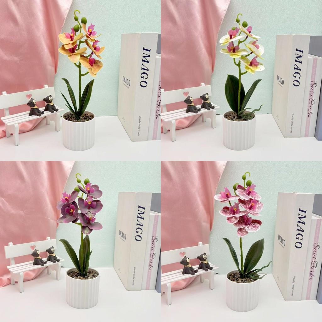 Orchid Plant Decor With Artificial Rain Flower For Home And Event Decoration