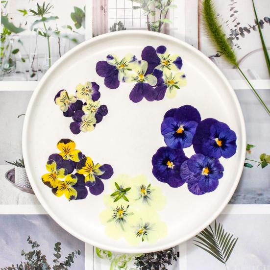 24 Pièces Fleurs Séchées Pressées Naturelles Bricolage Artisanat d'Art Décoration de Gâteaux Cocktails Bijoux en Résine Scrapbooking Marque-pages Fabrication Kit de Fleurs Pressées