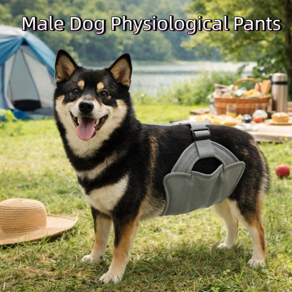 Leak Proof Male Dog Physiological Pants Adjustable Washable Pet Sanitary Pants Breathable Reusable Dog Diapers Outdoor Walking