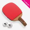 Table Tennis Racket Butterfly Shakehand Stayer 1500 16710 Pen Holder Senko 1500 10951 For Leisure Rubber Upholstered Holder X (Pen 2)