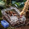 Escape-Proof Pet Feeding Bowls Non-Toxic Reptile Feeder Dish Reptile Feeder Bowls  Terrarium