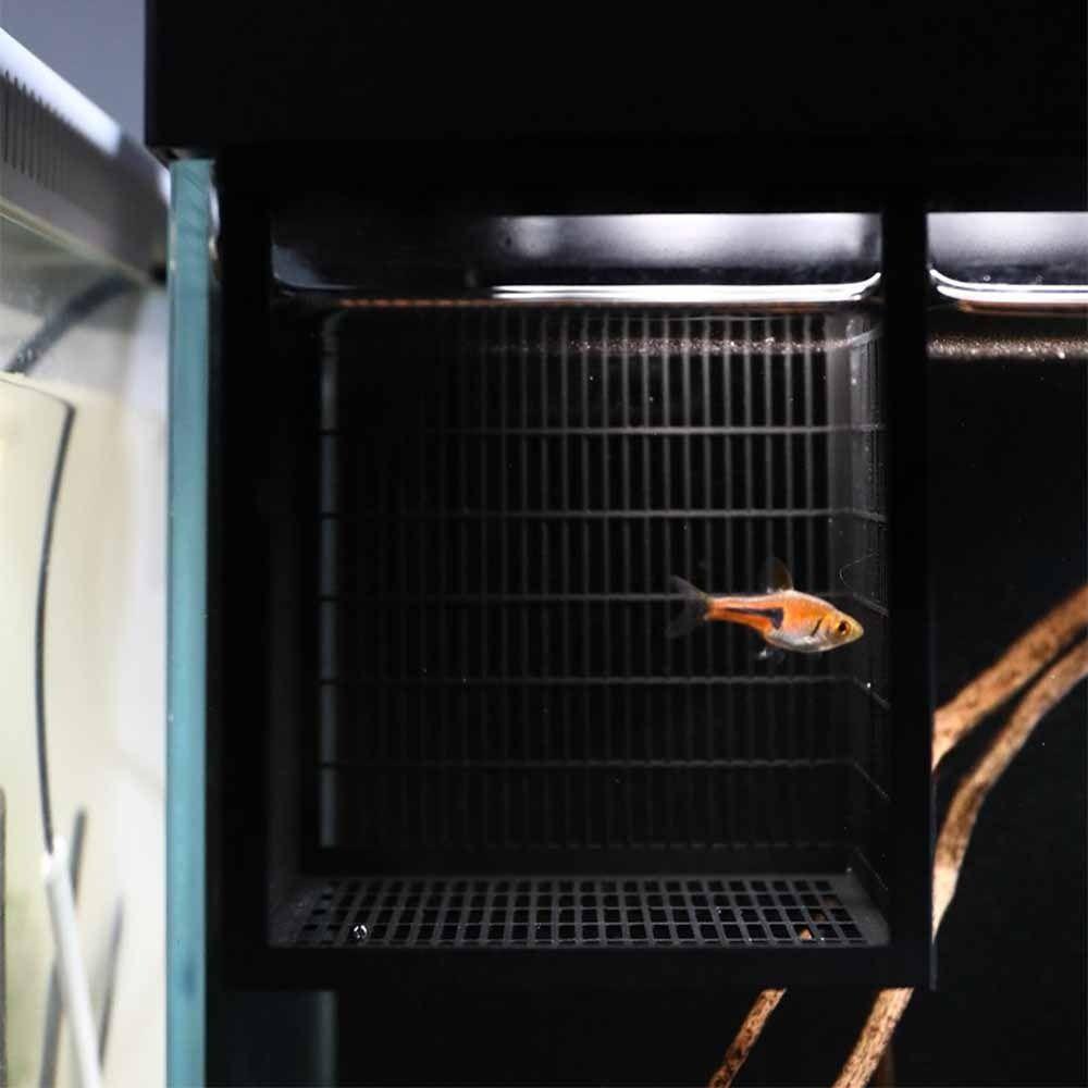 Hangable Guppy Breeding Box Ventilated PLA Fish Breeding Box Permeable Rectangular Fish Tank Isolation Box Guppy Small Fish