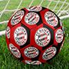 FC Bayern München Bedrukt Voetbal | Maat 5