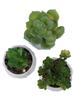 Artificial Succulent Imitation Potted Plants Decorative Flower Pot Desktop Decoration Elegant Design Home Decoration