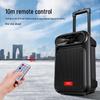 Aigo S55 Portable Bluetooth Trolley Speaker CN plug (adapter included) (CN version)