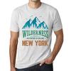 Homme Graphique Tee Shirt Graphic T Shirt Wilderness NEW YORK White Smoke