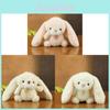 Plush Bunny Keychain With Pp Cotton Fill For Kids And Teens