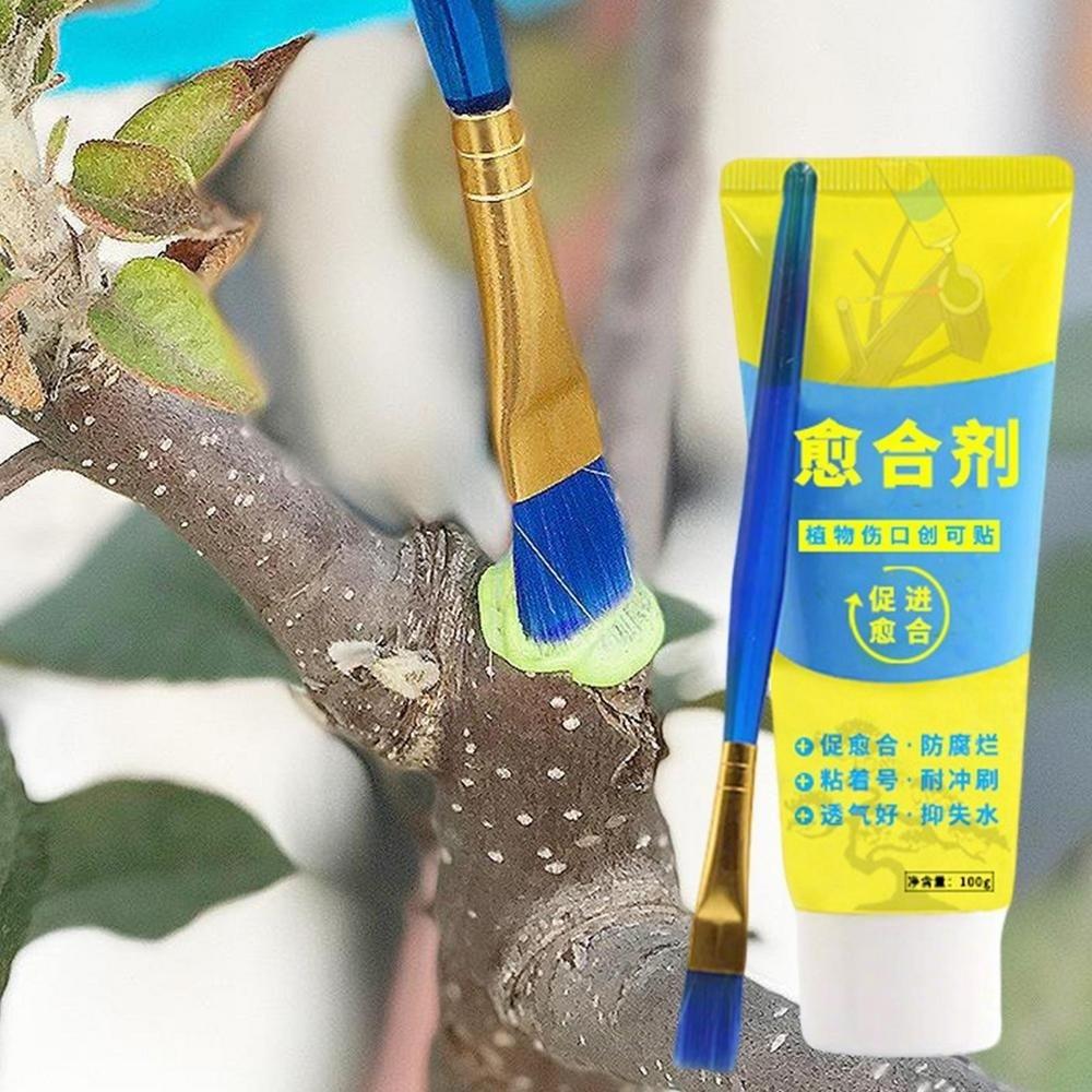 Smear Agent Grafting Tree Sealer 100g Plant Restoring Sealant New Bonsai Cut Paste  Gardening Use