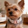 Double‑Layer Pearl Pet Necklace Rhinestone Gem Decor Collar For Cats Small Dogs Photo Accessory