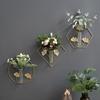 Artistic Background Crafts Wall Hanging Vases Wall Dry Flowers Ornaments Iron Home Decorations