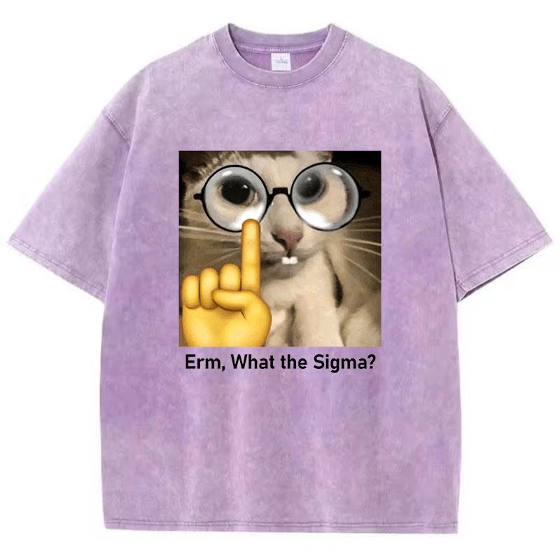 Funny Meme Cat T Shirt Vintage Washed Cotton T-Shirt  Graphic Tee Casual Streetwear Spring Summer Fall Top Tee