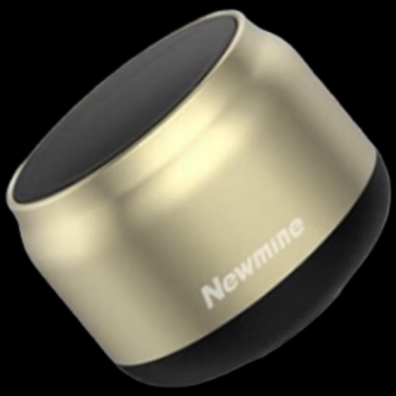 Newman BT31 Portable Bluetooth Speaker CN Plug (adapter Included) (CN Version)