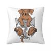 Dachshund Dixie Dog Lover Pillowcase Polyester Cushion Cover Gift Wiener Sausage Pillow Case Cover Home Square 4545cm