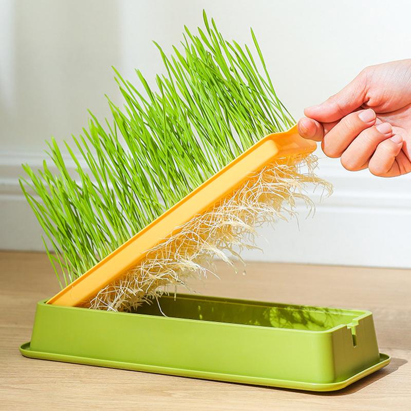 Pet Cat Grass Sprout Dish Growing Pot Hydroponic Plant Cat Snacks Germination Digestion Starter Dish Greenhouse Grow Box