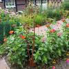 Yousheng Rusty Dandelion Stake Metal Flower Garden Stake Yard Decoration Outdoor Decor Dandelion Stake for Courtyard Lawn Pathway