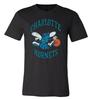 Μπλούζα με Φθαρμένο Λογότυπο Ομάδας NBA Charlotte Hornets S - 6XL!!! Γρήγορη Αποστολή! Unisex T-shirt