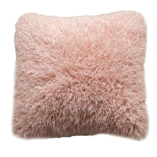 Throw Pillow with Detachable Pillowcase And Hidden Zipper Contarst Color Short Plush