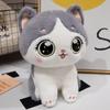 New Creative Cute Cat Plush Toy Doll Pillow Doll Birthday Gift for Girlfriend