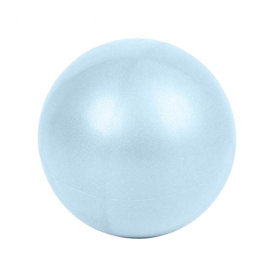 9.8 Inch Herding Ball for Dogs Pet Inflatable Ball Toy Interactive Play Exercise Ball Promotes Physical Health for Small Medium Pets