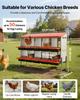 Chicken Nesting Boxes, 10 Compartments, with Support Legs, Easy Egg Collection, Galvanized Steel and High-Strength Plastic, Roll Away Nesting Boxes