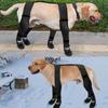 Bottes à bretelles pour chien Protecteurs de pattes imperméables Bottes douces pour chiot Chaussures d'hiver antidérapantes pour chien Bottines réglables pour les pattes de chien