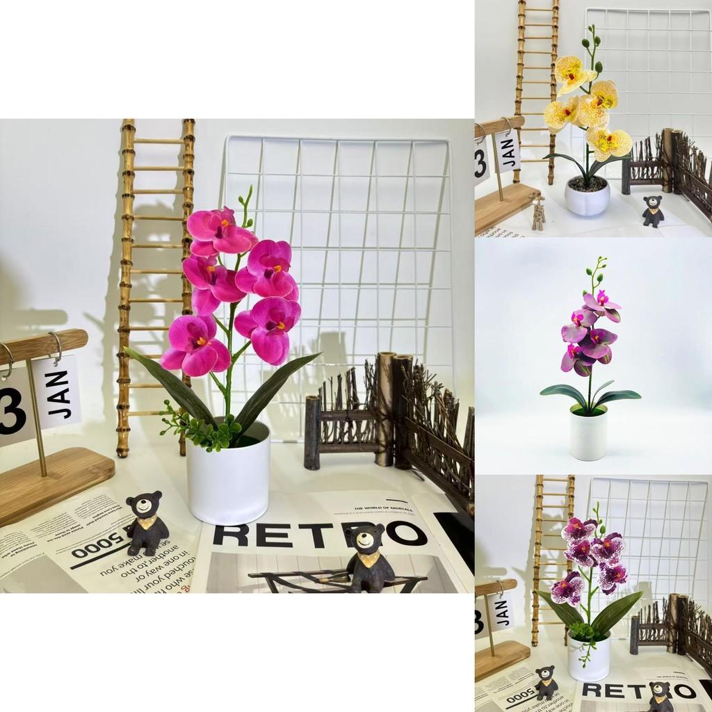Vlinderorchidee Kunstplant Met 3D-print Voor Huisdecoratie En Fotografie-rekwisieten