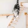 Space Saving Cat Climbing Shelf Steps Wall Mounted Cat Climbing Structure  for Home