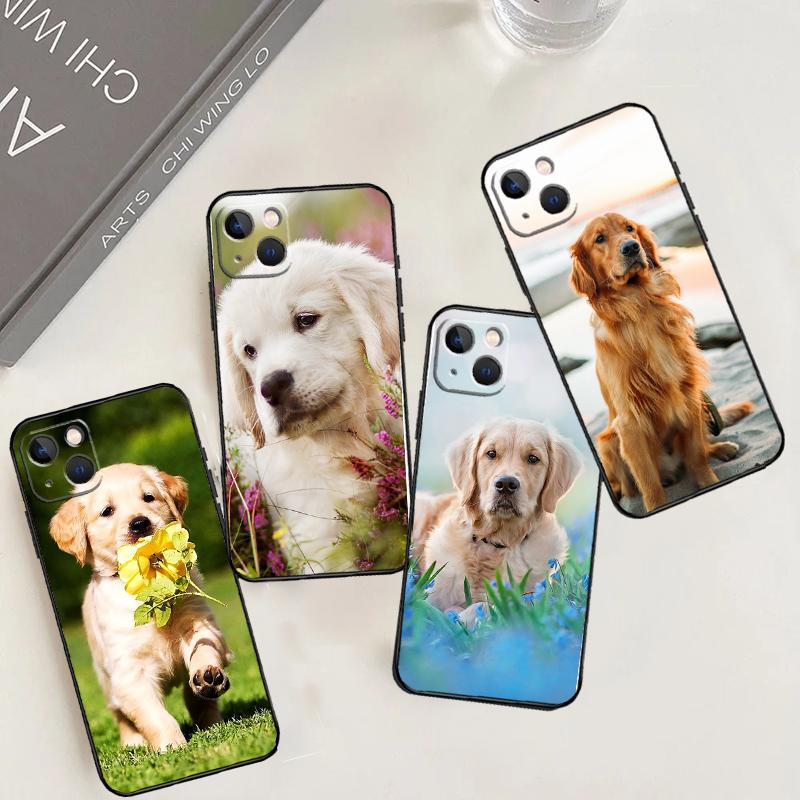 Golden Retriever Dog Case For Samsung Galaxy M31 M32 M12 M52 M21 M15 M55 M56 M36 M16 M06 M13 M33 M53 M14 M34 M54