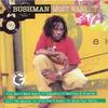 CD BUSHMAN Most Wanted GRE2029 Greensleeves UK 2003 UK Reggae Ska Dub