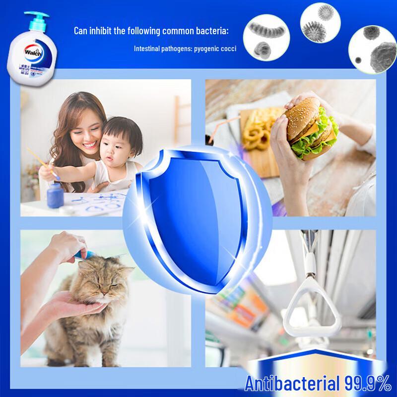 Walch Healthy Antibacterial Hand Wash Set