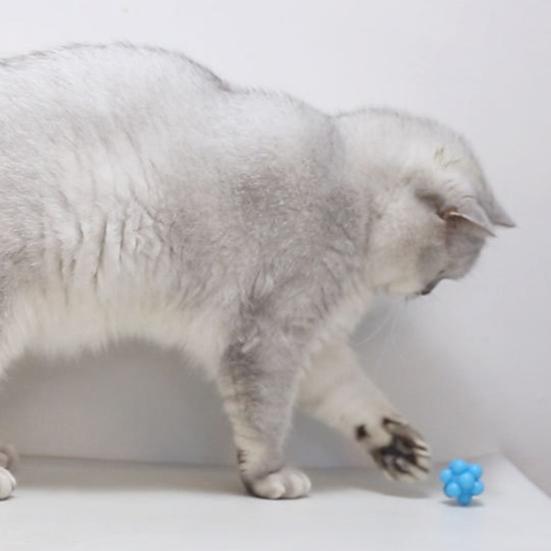 Bouncy Cat Toy Ball with Elastic Bounce TPR Multi-Angle Chew Toy for Solo Play & Teething Self-Entertainment Toy for Kittens Adult Cats