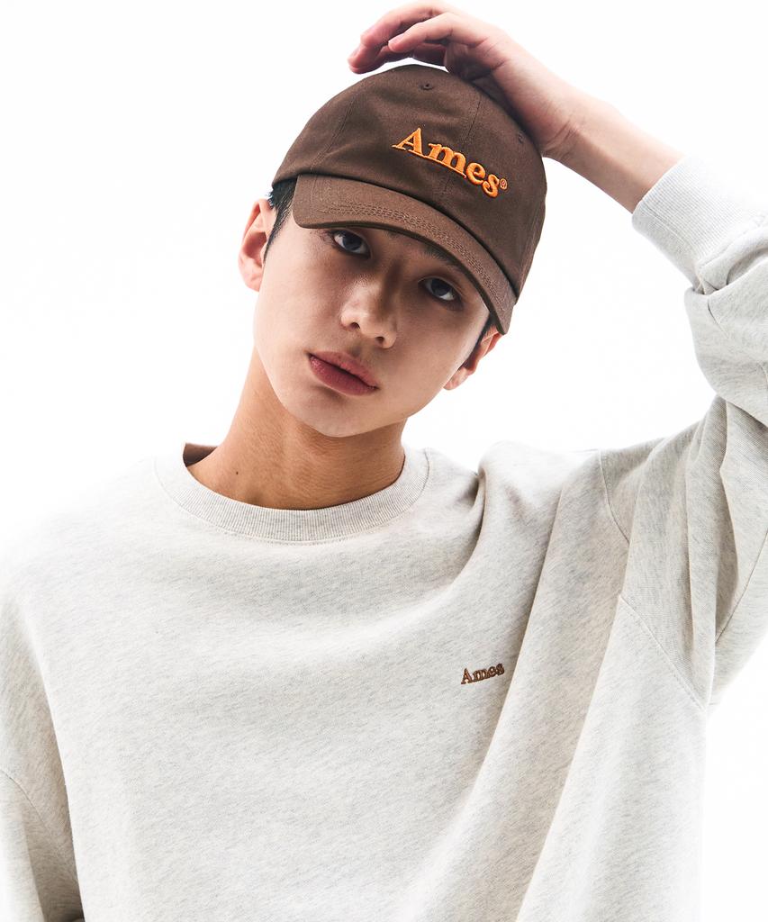 AMES-WORLDWIDE Basic Logo Ball Cap Brown