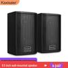 KAXISAIER T65 100W Passive Full-Range Speaker CN Plug (adapter Included) (CN Version)