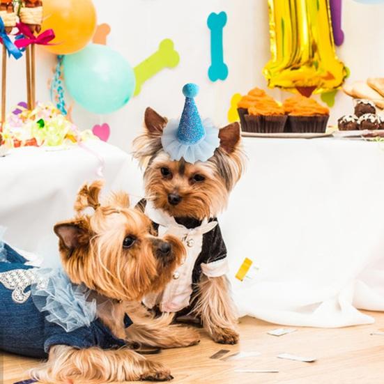 Soft Comfortable Adjustable Cat Dog Birthday Hat Pet Costume Accessories for Festivals Party