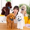 Cute Simulated Teddy Dog Poodle, Teddy Dog Plush Toy Puppy, Long-haired Doll, Rag Doll, Children's Doll