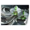 Wallpaper Orchid Abstraction Flower
