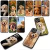 Phone Cover Golden Retriever Dog Pet Casing for Xiaomi Redmi Note 14 12 13 ProPlus A4 A3 Pro Plus 12C 13C 14C 5G + Case