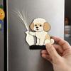 Push Bottle Refrigerator Magnet Puppy Whiskers Collection Souvenir Box Refrigerator Magnet