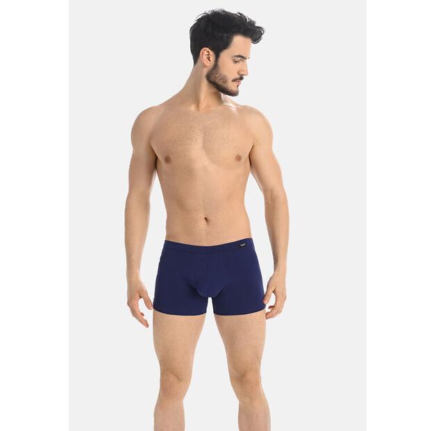 Teyli Levi Boxers