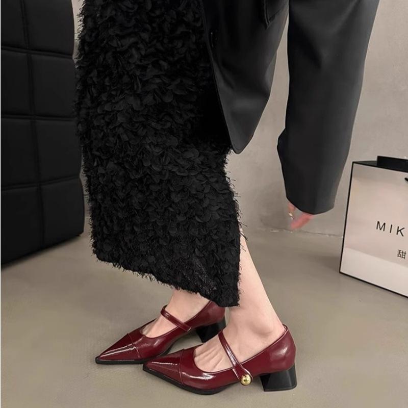 Pointed small leather shoes women's 2025 new spring thick heels low heels high heels retro French temperament Mary Jane single shoes
