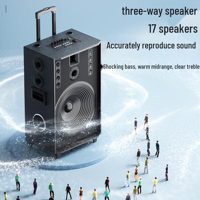 Newmine N527 15-inch Portable Bluetooth Karaoke Speaker CN Plug (adapter Included) (CN Version)