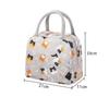 Lebensmittel Frisch Tragbare Isolierte Lunchtasche Große Kapazität Cartoon-Druck Picknick Handtaschen Wasserdichter Lunchbox-Organizer