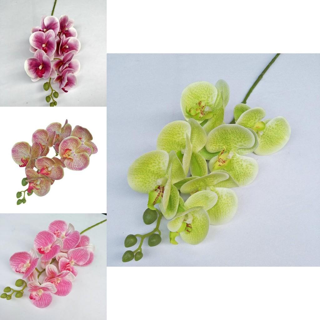 Artificial Phalaenopsis Orchid 3d Realistic Multi Stem For Home Decor Wedding