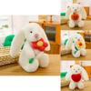 Plush Bunny Doll With Heart Embroidery For Girls And Kids Gift
