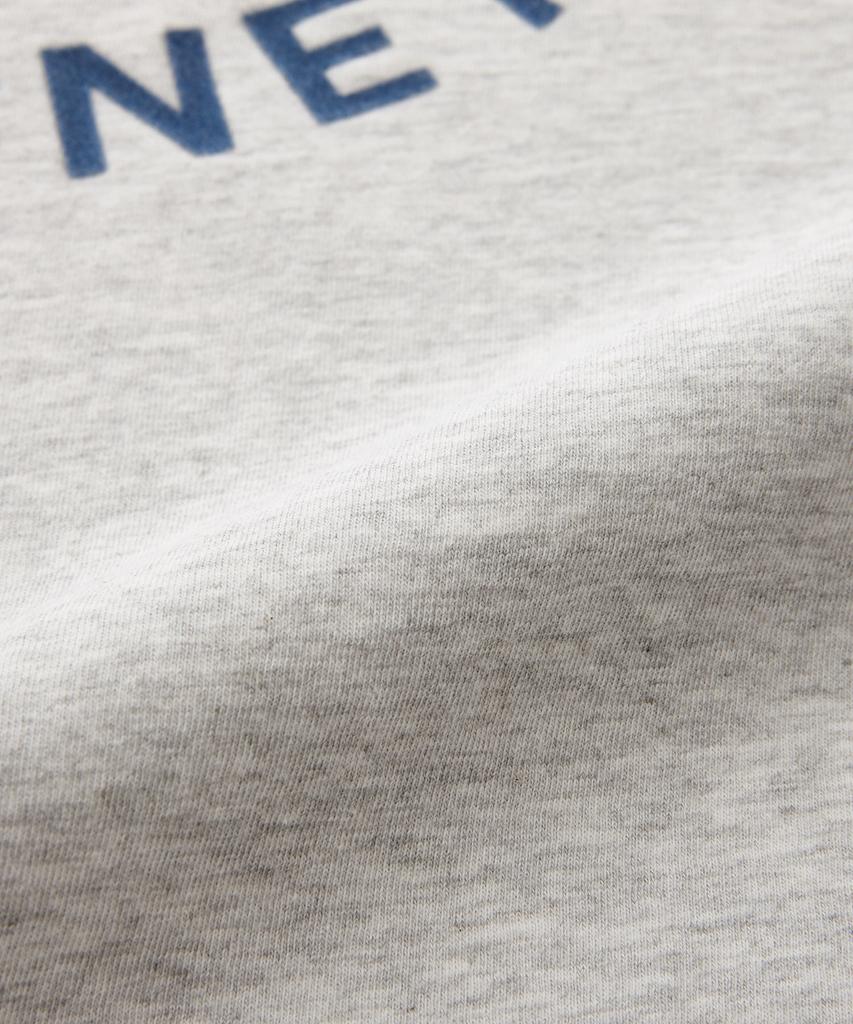 STCO Diems Preppy Graphic Round T-Shirt Gray (Classic Fit)_Dtsub53Csg