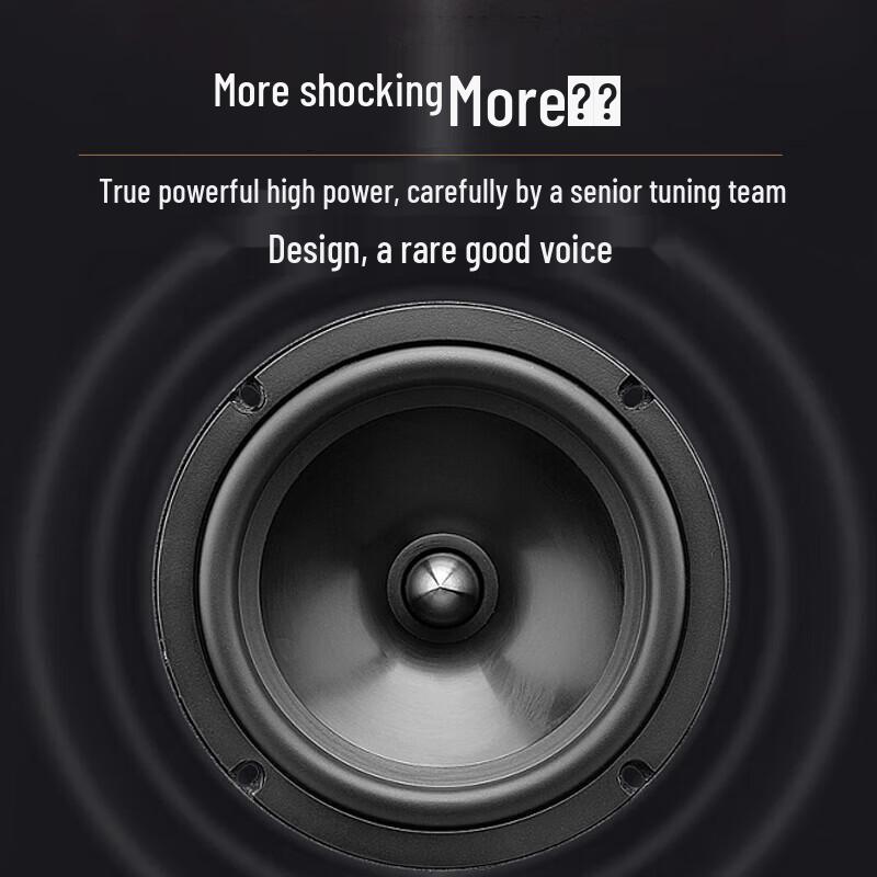 Huidu Professional Dual 18-inch Subwoofer (CN Version)