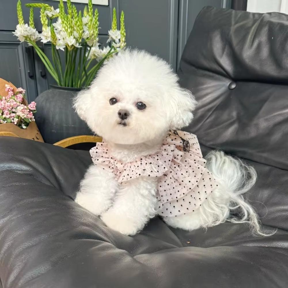 Soft Fabric Polka Dot Cat Dress Breathable Pet Princess Dress For Small Dogs Cats