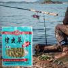 Carp Fishing Bait Food Grass Carp Bait Lure Formula Insect Particle Boilie Pellets Hook Up Baits Granular Bait for Fishing Use
