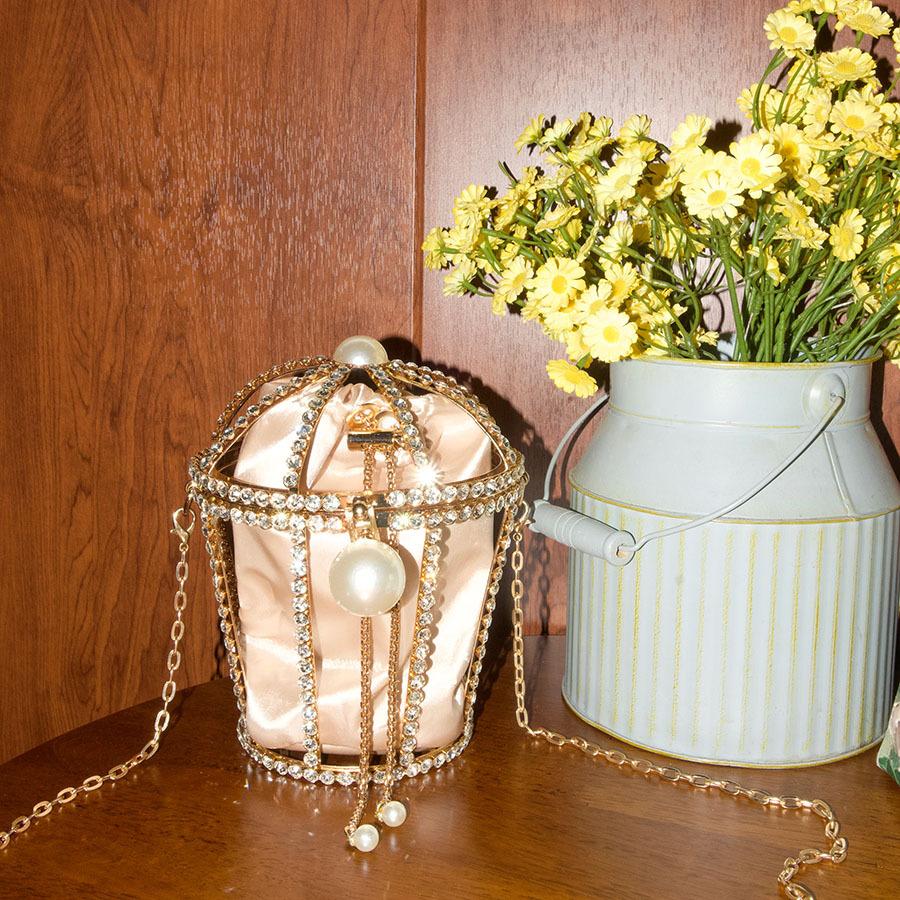 French Celebrity Bird Cage Bag Shiny Diamond Beaded Pearl Hollow Chain Dinner Bag Crossbody Bag
