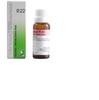 Dr. Reckeweg R22 Nervous System Drops